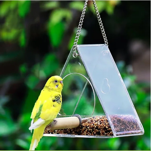 Acrylic Smart Bird Feeder with HD Camera β Easy Install