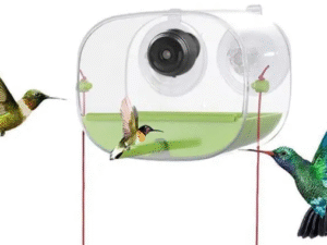 Smart Bird Feeder with Camera – Suction Cup Easy Mount