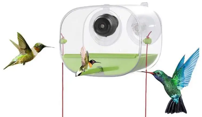 Smart Bird Feeder with Camera – Suction Cup Easy Mount